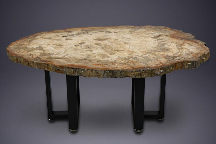 Polished Triassic Petrified Wood Table - Madagascar #352270